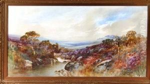 On The Teign Near Chafford, Devon by John Shapland