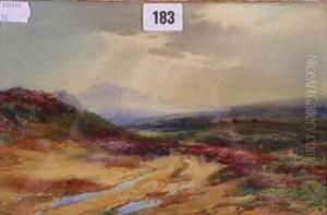 Nearmoretonhampstead