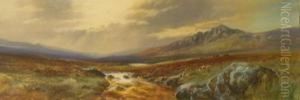Dartmoor Scene Withcattle