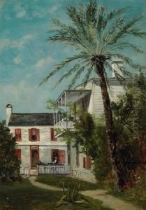 Palm In St. Augustine, Florida
