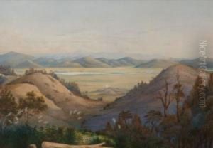 View Of The Mangatawhiri Swamp Frompokeno - Koheroa Pah In The Distance