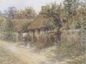 Mud Pies by Caroline Paterson