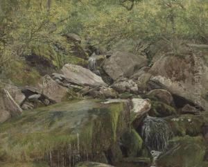 The Cascades, Pinkham Notch, Mount Washington by Aaron Draper Shattuck