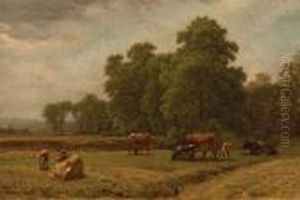 Grazing Cattle