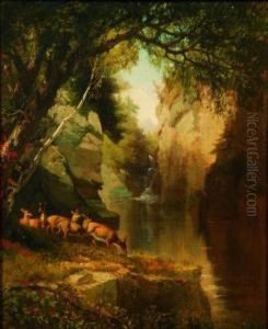Deer In Adirondacks by Aaron Draper Shattuck