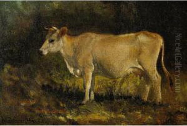 Jersey Cow - view 1