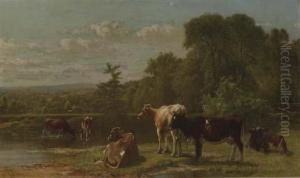 Cows At The River's Edge