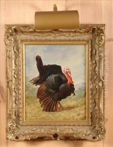 A Turkey by John Byam Liston Shaw