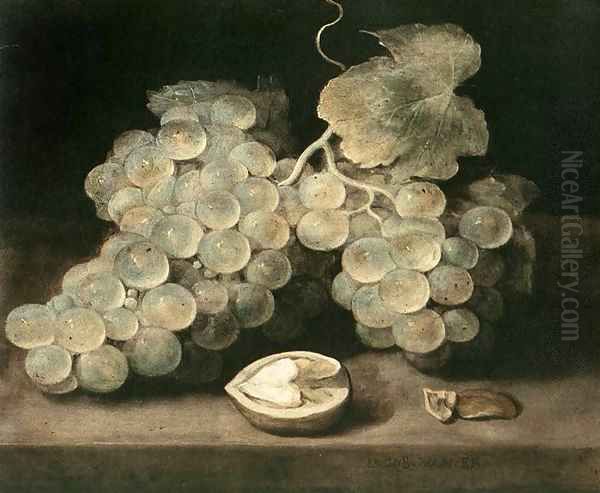 Grape with Walnut - view 1