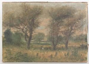 Landscape Landscape