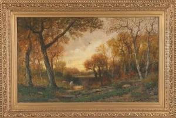 Forest Interior - view 1
