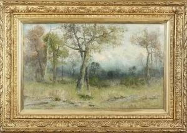 Wooded Landscape - view 1