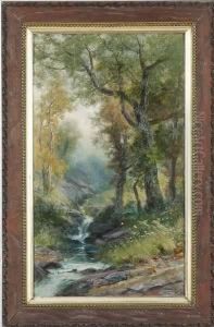 Creek Among The Trees by Christopher H. Shearer