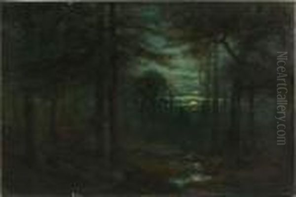 Moonlight Near Tuckerton - view 1