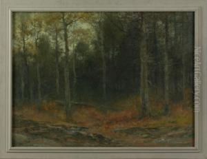 Autumnal Landscape by Christopher H. Shearer