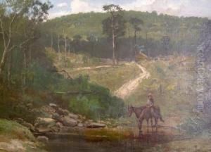 The Homestead by Christopher H. Shearer