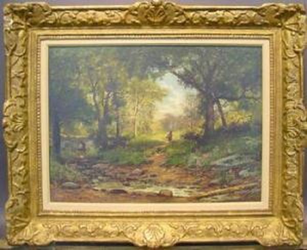 A Walk Through The Forest - view 1