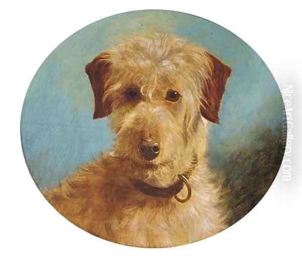 A terrier - view 1
