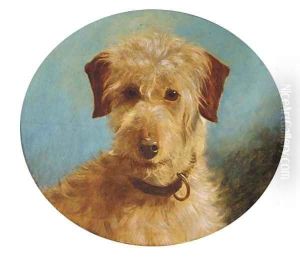 A terrier