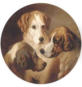 Three hounds