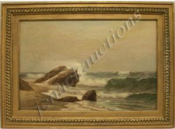 Rocky Coastal Landscape - view 1