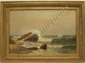 Rocky Coastal Landscape by Warren W. Sheppard