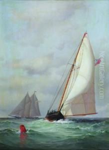 Sailboats by Warren W. Sheppard