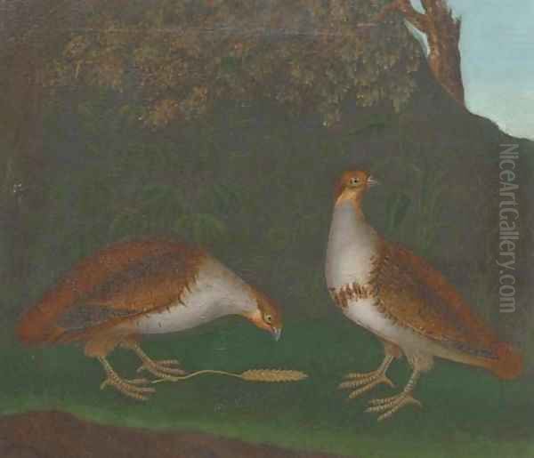 Partridge - view 1