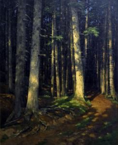 Foret De Pins