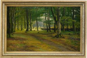 A Forest Glade