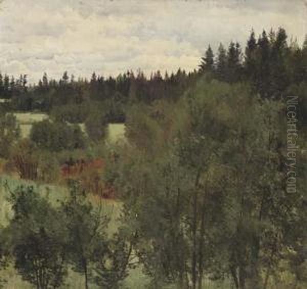 An Extensive Wooded Landscape - view 1