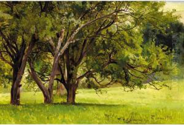 Trees In Summer - view 1