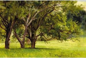 Trees In Summer by Andrei Nikolaevich Shilder