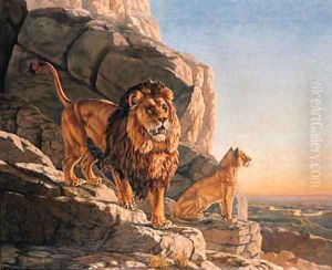 Lion and a Lioness on the Lookout on a Mountain by Urs Eggenschwiler