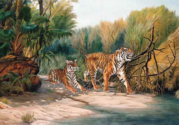 Tigers emerging from the Jungle - view 1