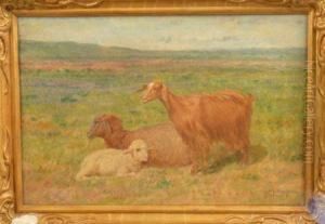 Amical Souvenir A Mlle Lucie Rigollet by John-Lewis Shonborn