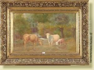 Vaches A La Mare Vaches A La Mare