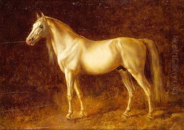 Cheval Arabe, 1882. - view 1