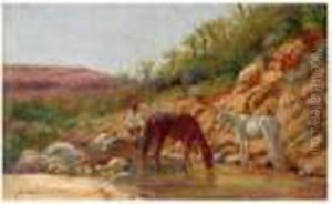 Chevaux S'abreuvant A Une Oasis. Chevaux S'abreuvant A Une Oasis.