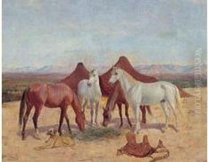 Chevaux Au Campement.