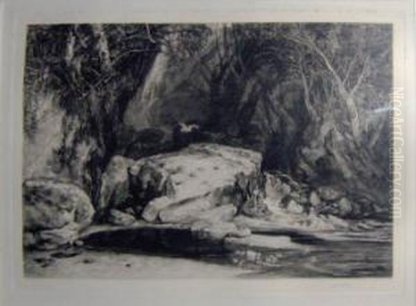 Wooded Glade With Pool - view 1
