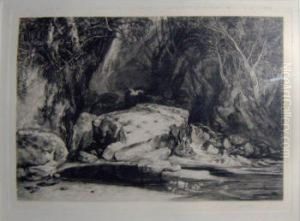 Wooded Glade With Pool by Frank Short
