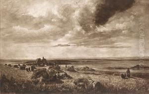 A Cornfield (hardie 92) A Cornfield (hardie 92)