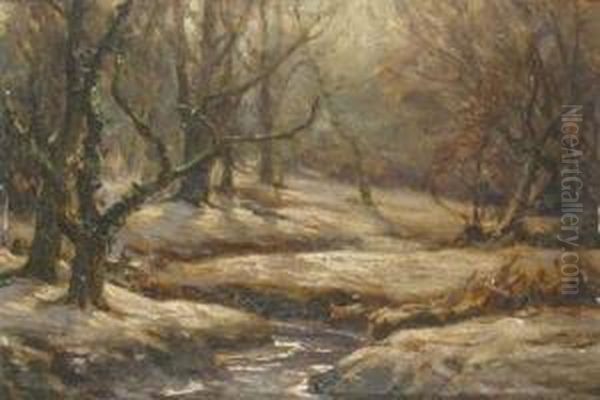 A New Forest Stream In The Snow - view 1