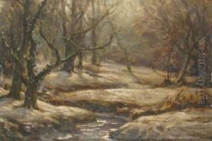 A New Forest Stream In The Snow by Frederik Golden Short