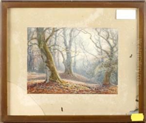 Denny Wood, New Forest by Frederik Golden Short