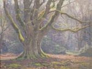 In The New Forest Near Lyndhurst by Frederik Golden Short