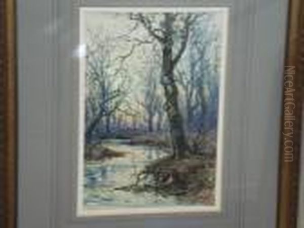 Wooded Riverbank - view 1