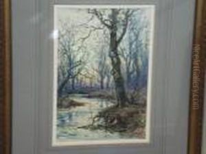 Wooded Riverbank Wooded Riverbank