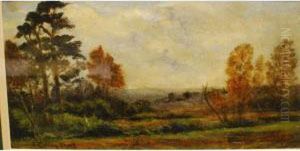 Autumnal New Forestlandscape by Frederik Golden Short